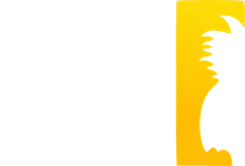 The Pyne Logo